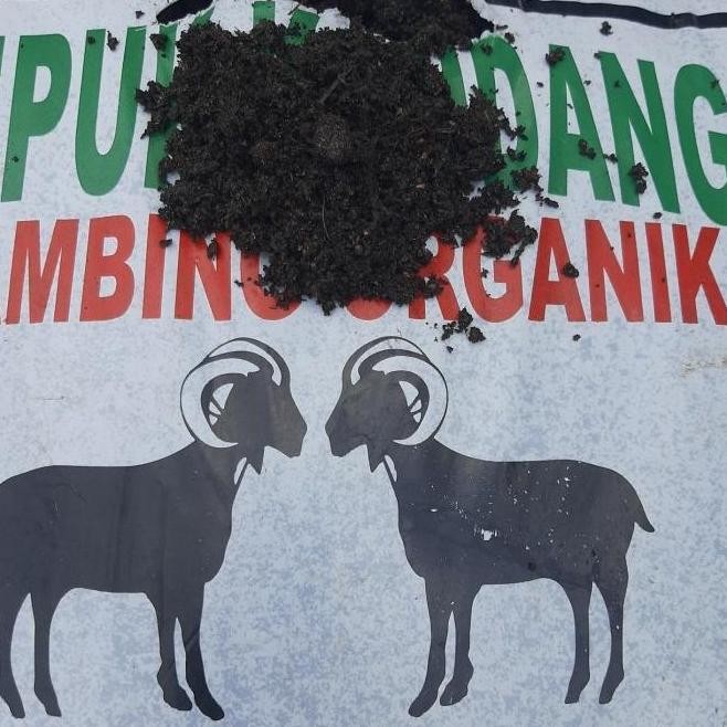 

Terlaris Pupuk Kandang Kambing Organik Halus Grosir Pondokgede