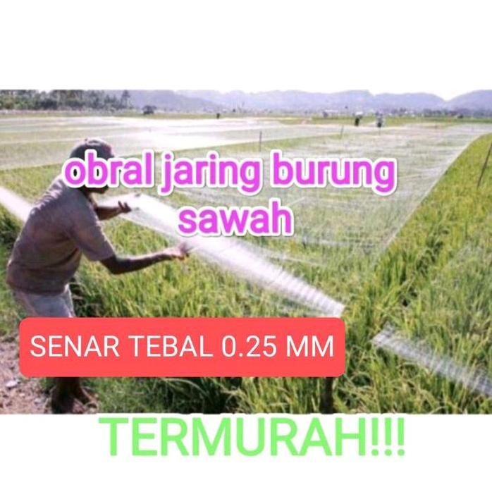 

Terlaris Jaring Burung Sawah Jaring Pelindung Padi Senar 0.25 Lebih Tebal