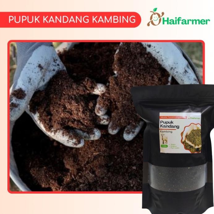

Terlaris New Haifarmer Media Tanam Pupuk Kandang Kohe Kambing Organik 2L Tidak Berbau Dan Tidak Panas Terlaris