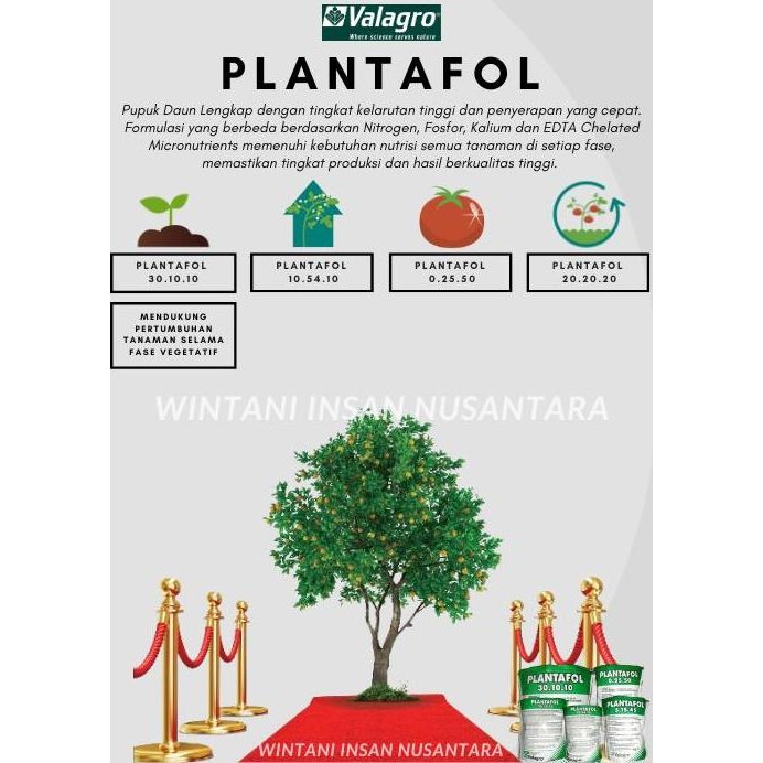 

Terlaris Pupuk Padat Valagro Plantafol 30.10.10 (Npk) Isi 200 Gr