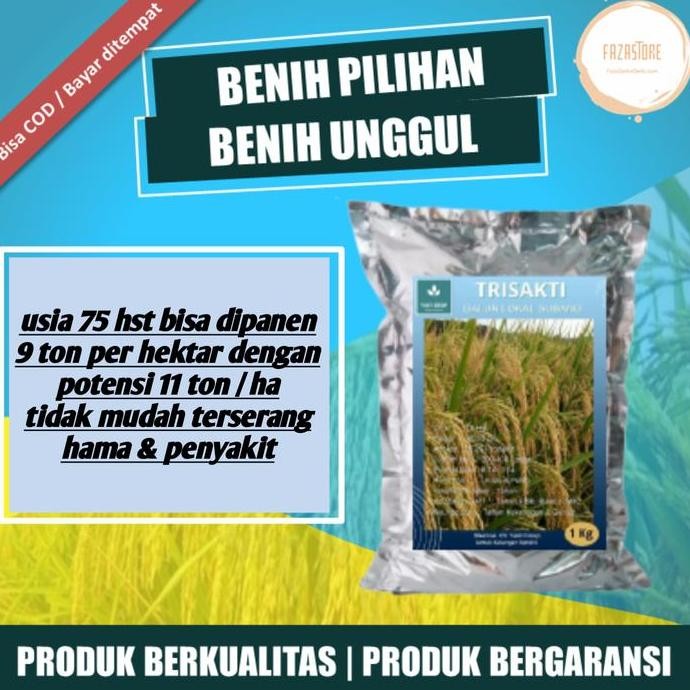 

Terlaris Benih Unggul Padi Trisakti 1 Kg Benih Super Genjah