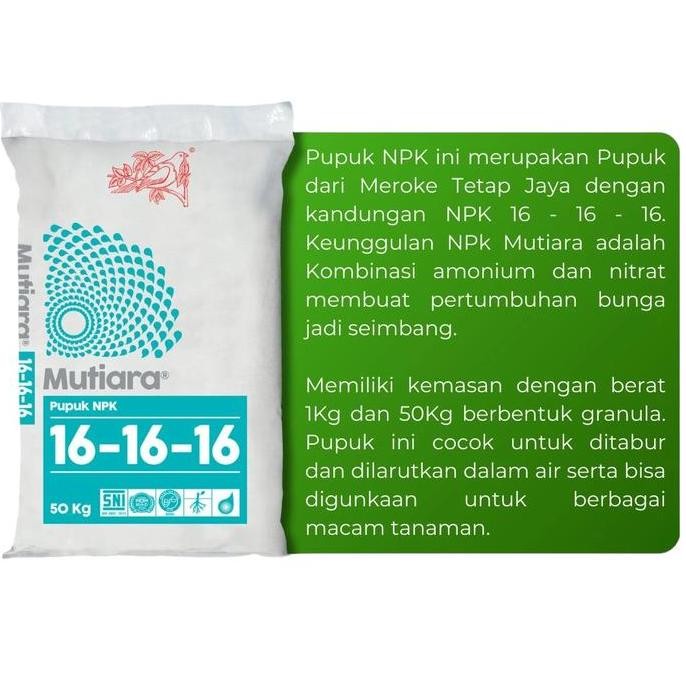 

Terlaris Pupuk Npk Mutiara 16 16 16 Kemasan Pabrik 1 Kg