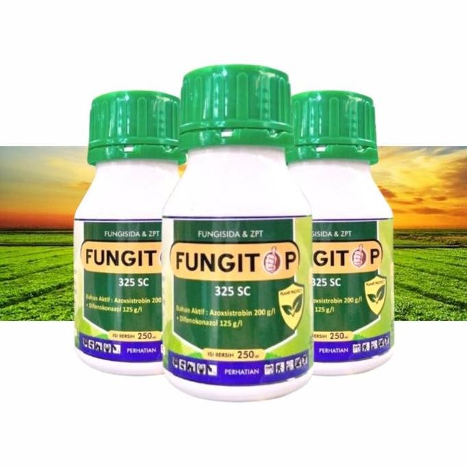 

Terlaris Fungitop 325 Sc - Fungisida Dengan Azoksistrobin Dan Difenokonazol Untuk Tanaman Padi & Cabai
