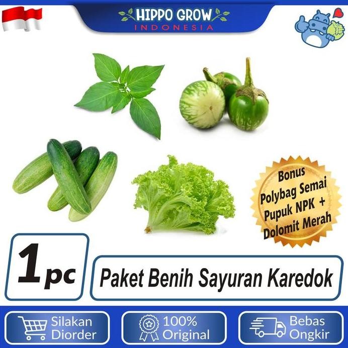 

Terlaris Paket Sayur Karedok Bibit Tanaman Bonus Polybag Dan Npk