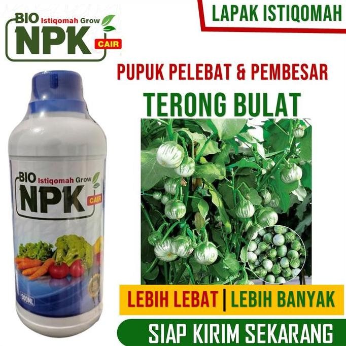

Terlaris Pupuk Ajaib Perbanyak Terong Bulat - Bio Istiqomah Grow 500 Ml Panen Terong Bulat Lebih Banyak Dan Besar, Pupuk Npk Cair Paling Manjur Tinggal Semprot Terong Bulat Langsung Lebat Dan Berat - Pupuk Organik Terbaik Pelebat Terong Bulat Hasil Panen