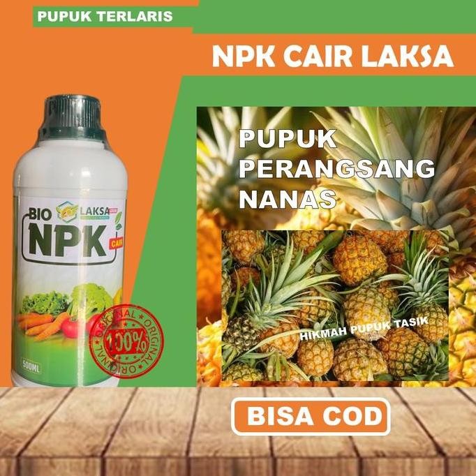 

Terlaris Pupuk Perbanyak Nanas Npk Laksa Paling Bagus Obat Cair Nanas Agar Lebih Banyak Dan Besar