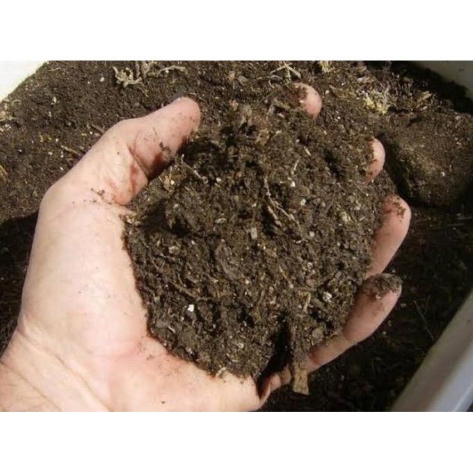 

Terlaris Pupuk Kandang Organik Dari Kotoran Domba Kambing 50 Gram