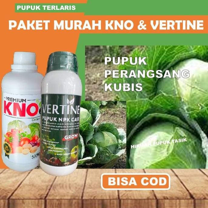 

Terlaris Paket Duo Kno & Vertine Pupuk Npk Laksa Perbanyak Buah Kubis/Kol Obat Cair Semprot Untuk Buah Sayuran Kubis Terlaris