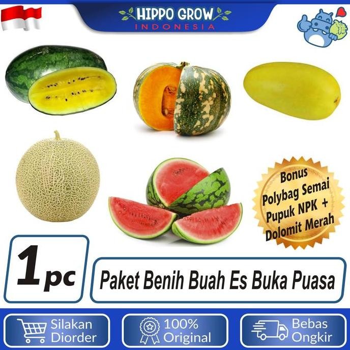 

Terlaris Paket Tanaman Buah Buka Puasa Bibit Tanaman Bonus Polybag Dan Npk
