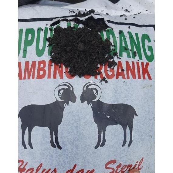 

Terlaris Pupuk Kandang Kambing Organik Halus Siap Pakai