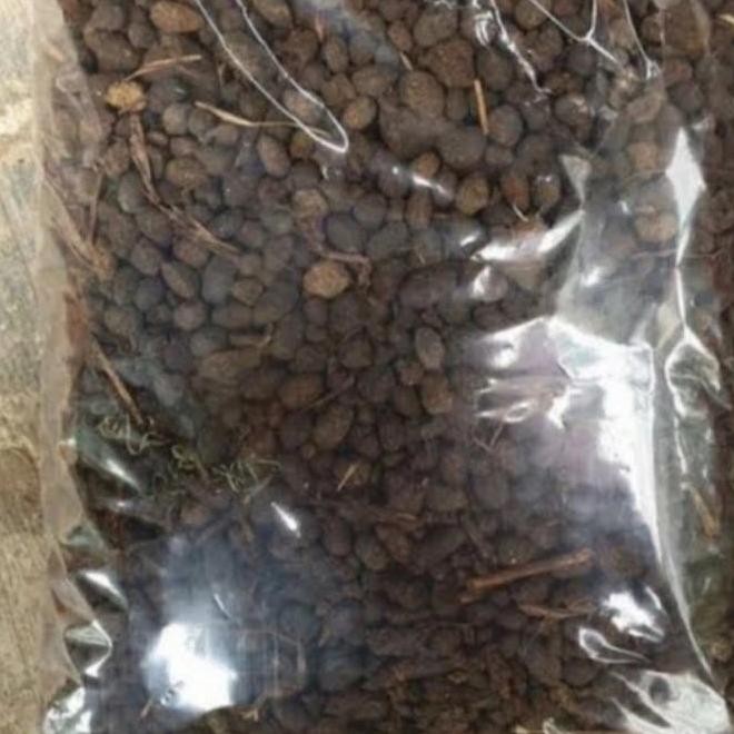 

Terlaris Pupuk Kandang Kering