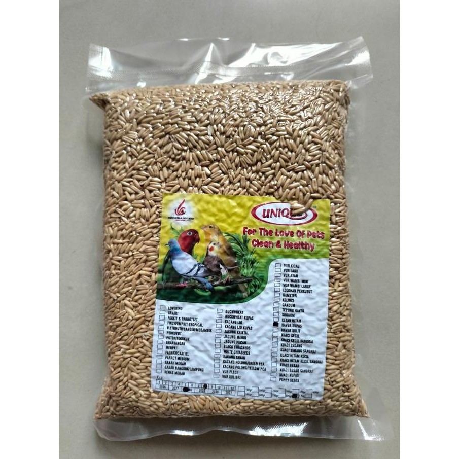 PAKAN LOVEBIRD, PARKIT, FINCH, KENARI DLL HAVERSEEEDS OATS 1 KG BIJI HAVER KUPAS HAVER SEED TERMURAH