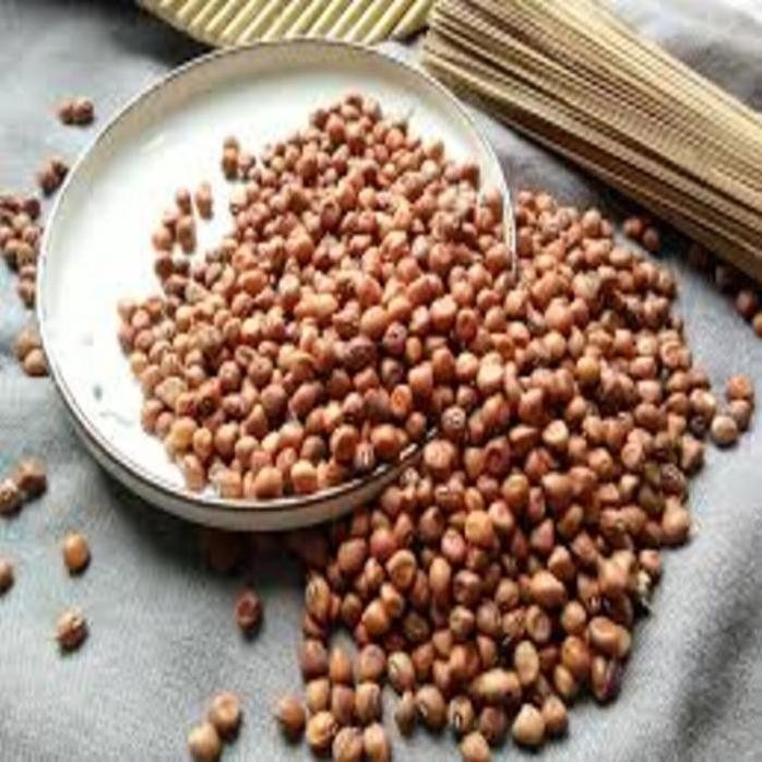 

Terlaris ( 1 Kg ) Kacang Tolo | Kacang Tunggak | Kacang Otok Bahan Wijen