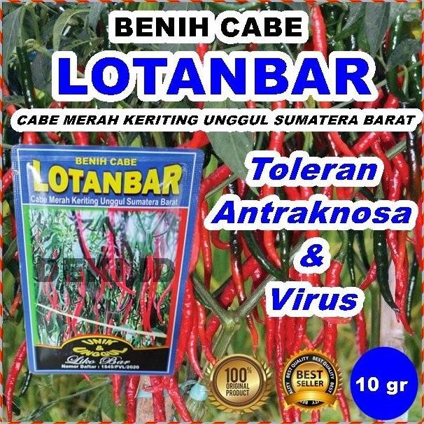 

Benih Cabe CMK Lotanbar 10 Gram Bibit Cabai Merah Keriting Unggul Sumatera Barat