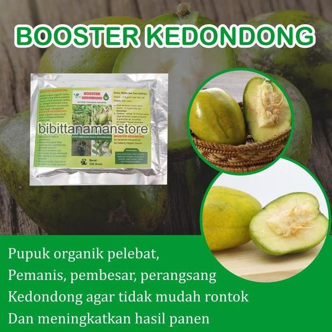 

Pupuk Organik Pelebat Buah dan Booster Kedondong Cepat Berbuah Lebat