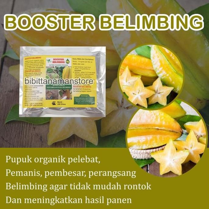 

Pupuk Organik Pelebat Buah dan Booster Belimbing Cepat Berbuah Lebat