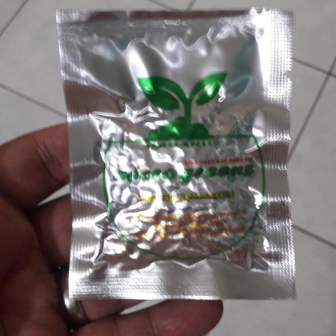 

Terlaris Benih Wheatgrass Rumput Gandum 15Gr