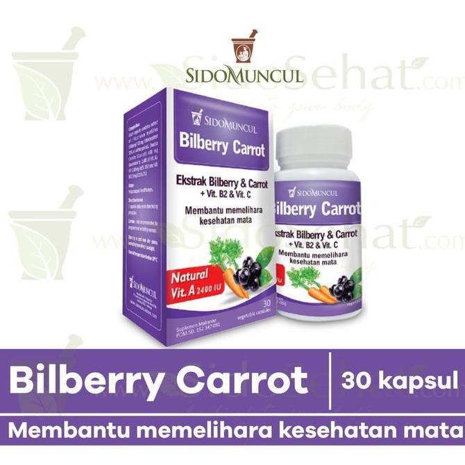 

TERBARU - Billberry Carrot (Mata Cemerlang) SidoMuncul