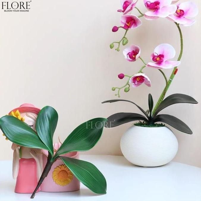 Daun Anggrek Latex [M] /Daun Anggrek Latex Jumbo/Daun Anggrek Artificial (Kn-384) Co