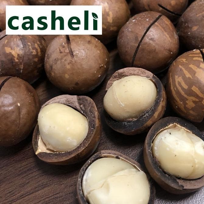 

Sale Macadamia Nuts In Shell Besar Panggang 1Kg Kacang Macadamia Kulit