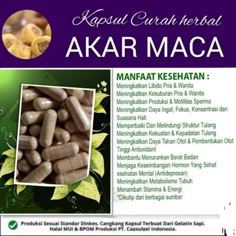 AKAR MACA ISI 100 KAPSUL CURAH HERBAL