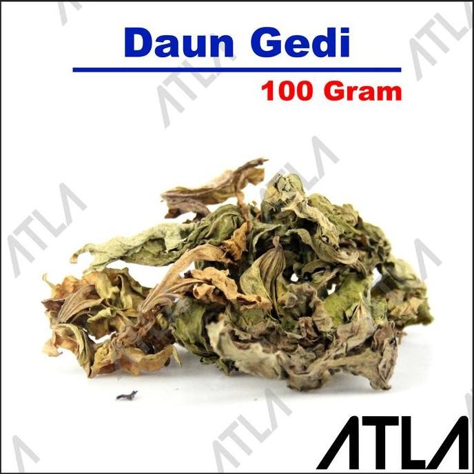 

siap kirim] Daun Gedi Kering 100 Gram Simplisia Pepaya Papaya Jepang Obat Herbal