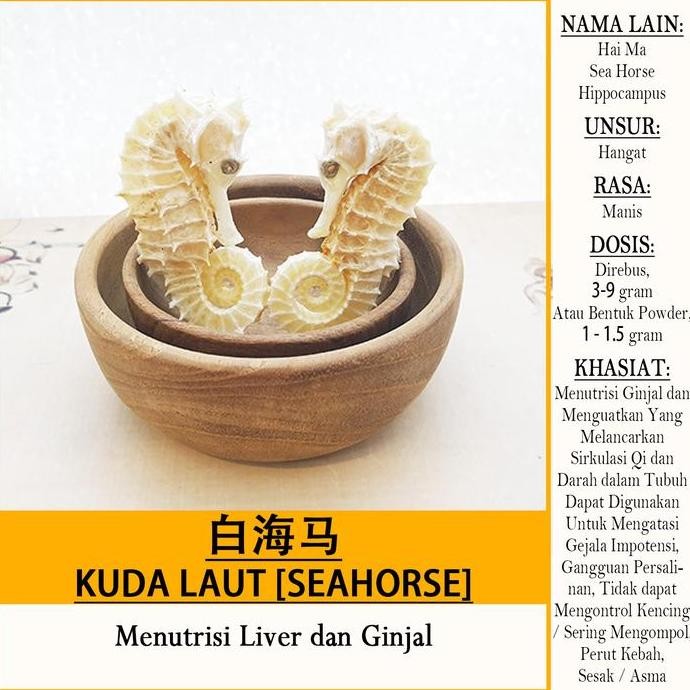 

Open DS] KUDA LAUT Sea Horse [Bai Hai Ma ] - Herbal TCM - PER 10gr