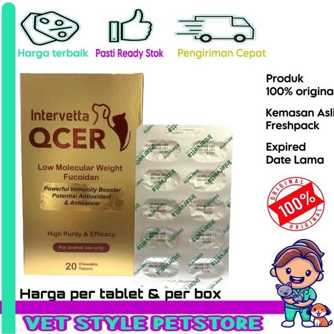Intervetta qcer obat k tumor anjing kucing