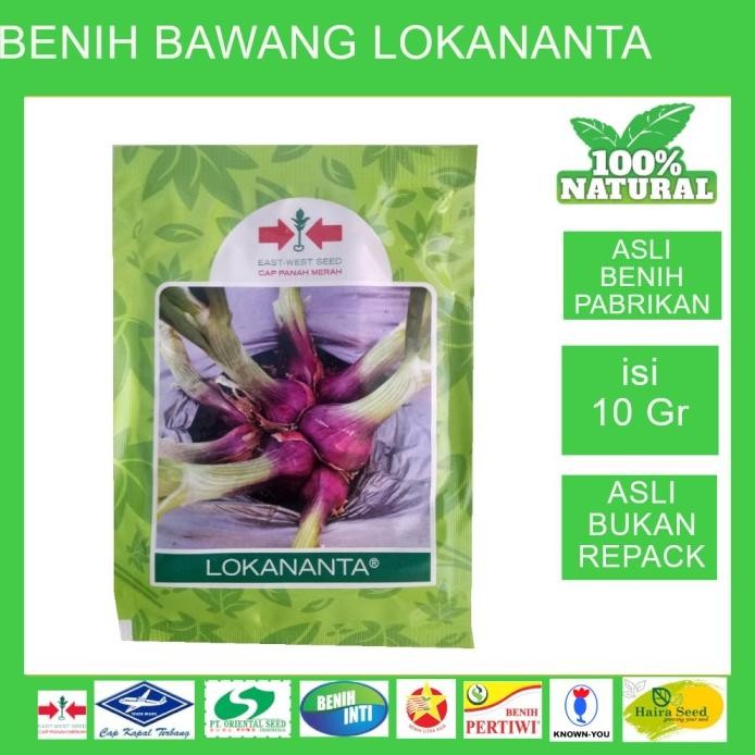 

Terlaris Termurah Bibit Benih Biji Seed Unggul Bawang Merah Lokananta 10 Gram Ready Stock
