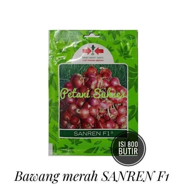 

Terlaris (800 Butir) Bibit Benih Sayuran Buah Umbi Bawang Merah Sanren F1 Sp