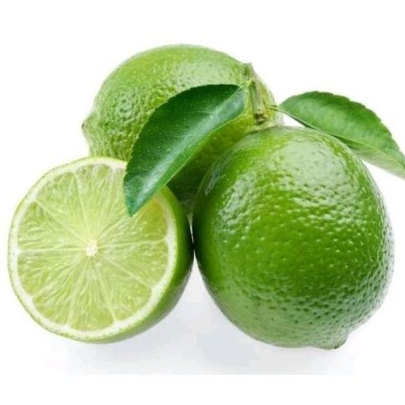 

Terlaris Promo Obral Bibit Jeruk Nipis Bibit Tanaman Buah Buahan Bibit Buah