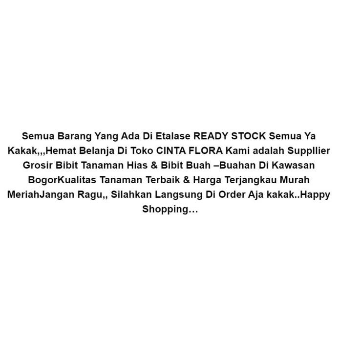 

Terlaris Pupuk Kandang Kambing Murni 1 Karung / 1 Karung Pupuk Ka Wxnmkb 4553Pl