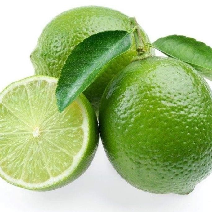 

Terlaris Sab@Ng Bibit Buah Jeruk Nipis Jumbo Stek Freyshhh