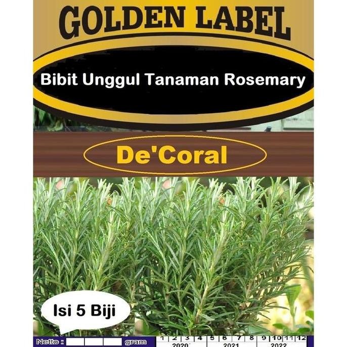 

Terlaris Ready Murah Bibit Unggul Tanaman Rosemary | Benih Rosemary Asli