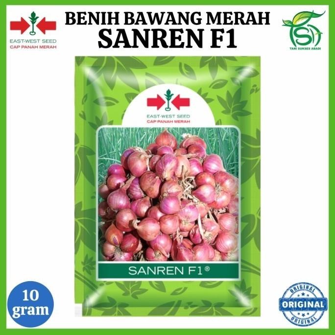 

Terlaris Benih Bawang Merah Sanren F1 (',') - Bibit Cap Panah Merah 10 Gr