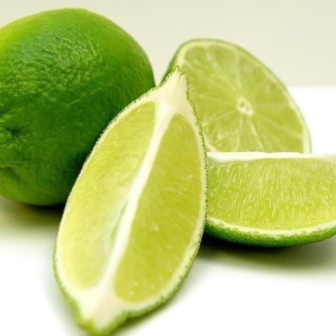 

Terlaris Pohon Bibit Pohon Buah Jeruk Nipis Hasil Okulasi Cepat Atz