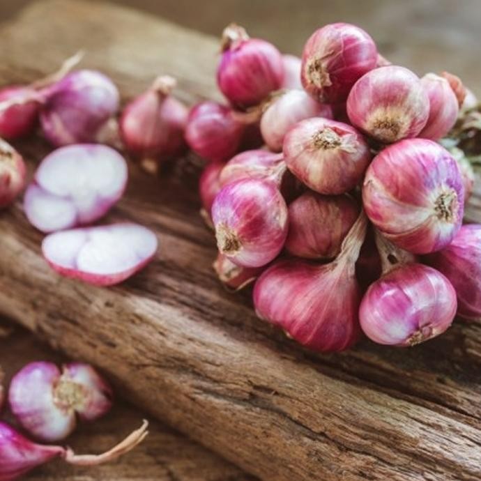 

Terlaris Bibit / Benih Sayur Bawang Merah Red Onion For Kitchen Isi 40 Biji
