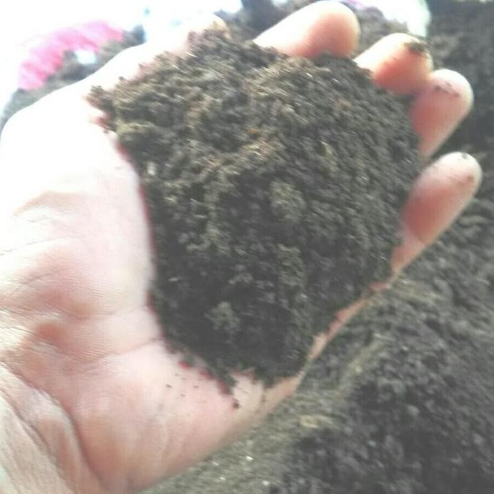 

Terlaris Pupuk Kandang Organik