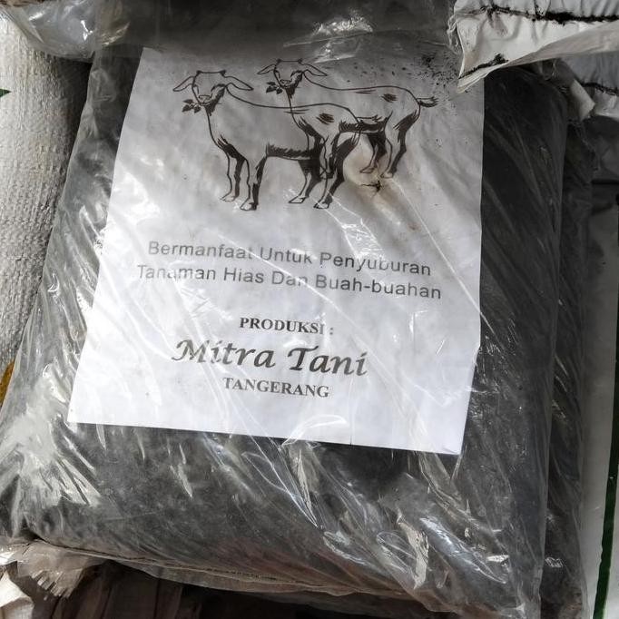 

Terlaris Media Pupuk Kandang Murni Atau Tai Kambing Bulet