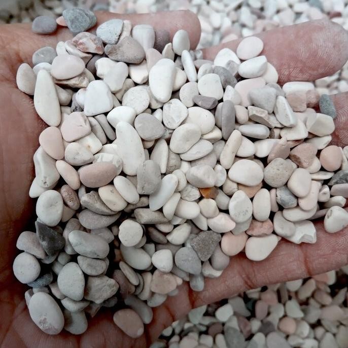 

Terlaris Promo Batu Koral Panca Warna 1 Sak 20 Kg Hiasan Pot Taman Aquarium Aquascape