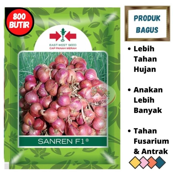 

Terlaris Grosir Benih Biji Bibit Bawang Merah Dari Biji Sanren F1 800Butir Tss