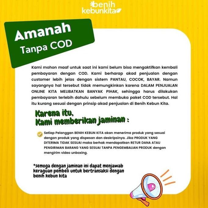 

Terlaris Terlaris!! Benih Bibit Sayuran Herbal Dan Bumbu Rosemary Thyme Catnip