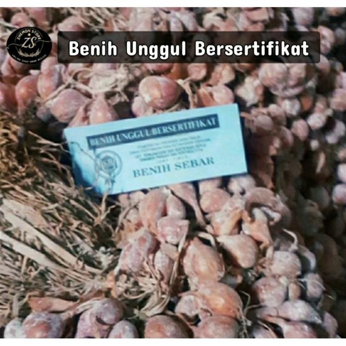 

Terlaris Bibit Bawang Merah Tajuk (Siap Tanam) Usia 5 Bulan+ Acgpnd 2094Go