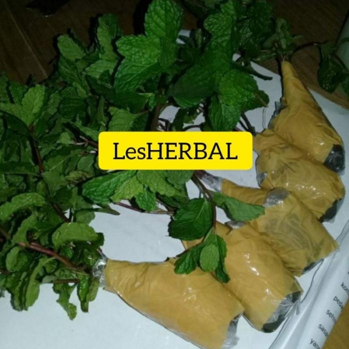 

Terlaris Jual Bibit Tanaman Herbal Daun Mint Segar