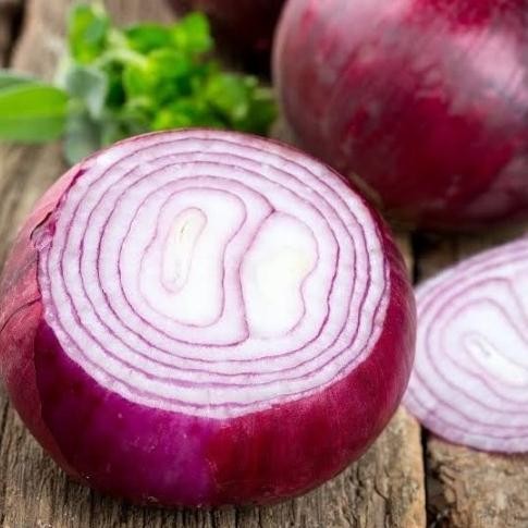 

Terlaris Best 1 Biji Benih Bibit Bawang Bombay Merah Red Grano Onion