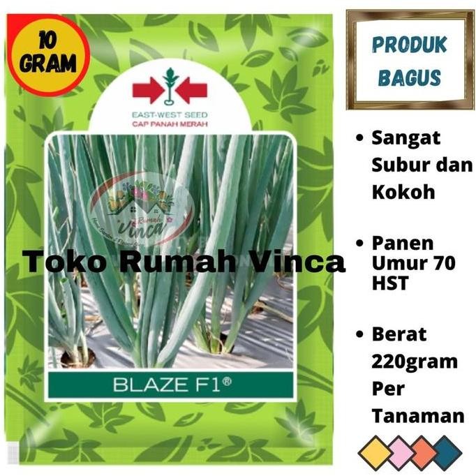 

Terlaris Produk Promo Benih Bibit Daun Bawang Blaze F1 10G Cap Panah Merah