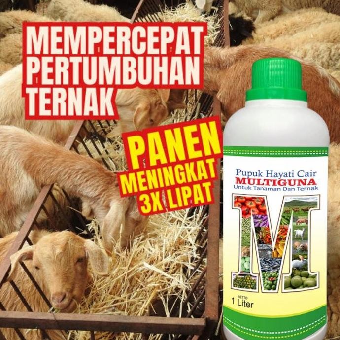 

Terlaris Pupuk Organik Multiguna Formula Penyubur Tanaman Pelebat Buah Mangga Durian Kelengkeng Alpukat Jambu Air Kelapa Sawit Anggur Singkong Ubi Jalar Bawang Merah Vanili Lada Pala Padi Jagung Vitamin Ternak Ikan Nila Patin Lele Bahan Fermentasi Pakan