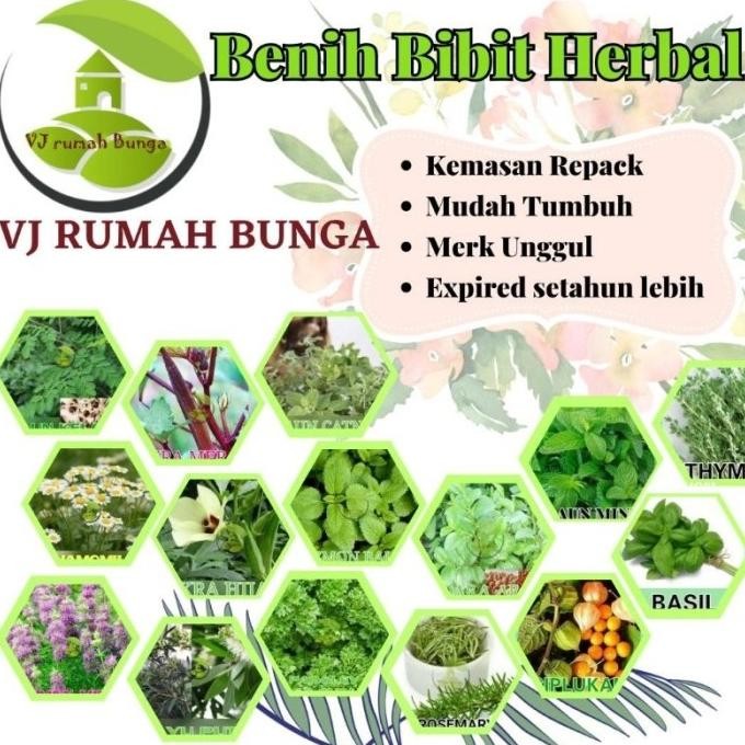 

Terlaris Benih Bibit Herbal Benih Herb Daun Mint Rosemery Thyme Oregano Parsley