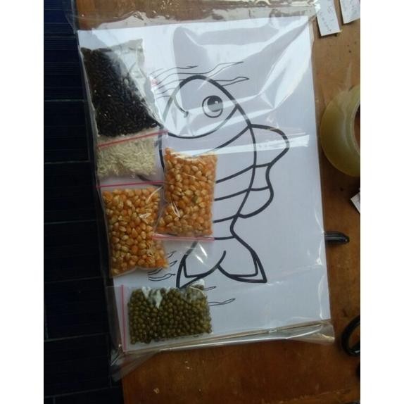 

RB kolase biji bijian ikan nemo tempel sendiri