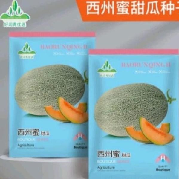 || BANANA / 100 Biji Benih Melon Sweet Hami F1 Original ||~~~